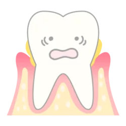 歯周病と体の病気の関係性